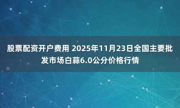 股票配资开户费用 2025年11月23日全国主要批发市场白蒜6.0公分价格行情