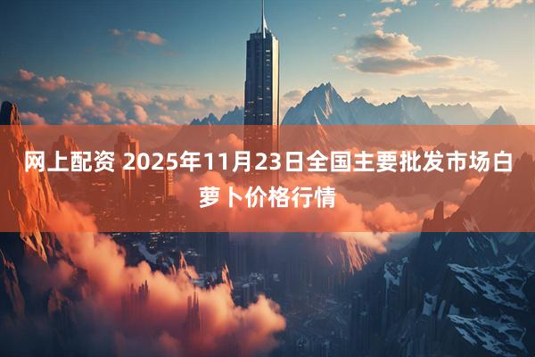 网上配资 2025年11月23日全国主要批发市场白萝卜价格行情